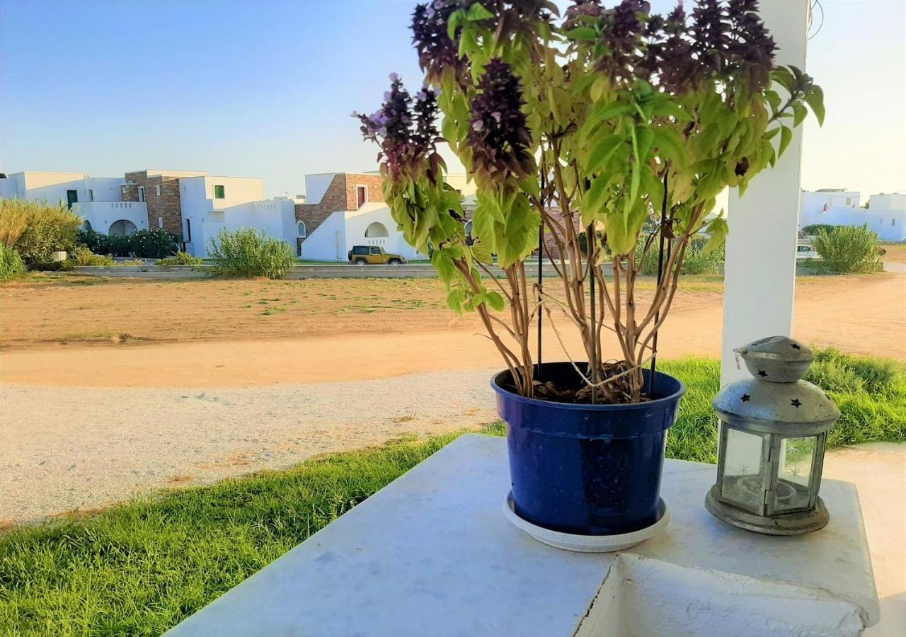 Joanna'S Rooms On The Beach Plaka  Bagian luar foto