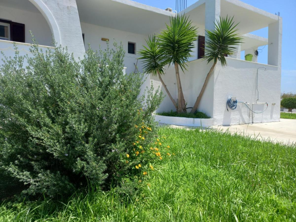 Joanna'S Rooms On The Beach Plaka  Bagian luar foto